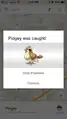 Catching a Pidgey in Google Maps