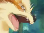 Roar being used by a wild Arcanine