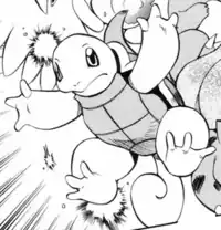 Ash's Squirtle
