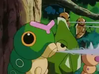 Azalea Gym's Caterpie