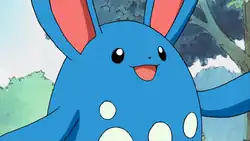 Azumarill