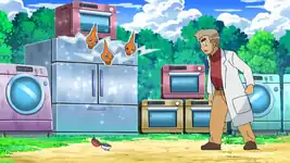 To Catch a Rotom!