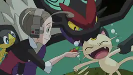 Celebrating the Hero's Comet!