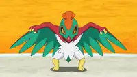 Bea's Hawlucha