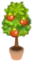 Berry Tree