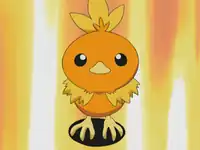 Professor Birch's Torchic
