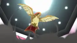 Blue's Pidgeot