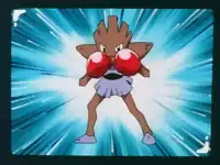 Bruno's Hitmonchan