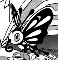 Bug Catcher's Beautifly