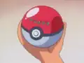 The Poké Ball containing Bulbasaur in Pokémon - I Choose You!