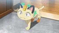 Butch's Meowth