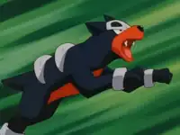Cassidy's Houndour