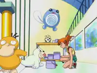 Sensational Sisters's Seel