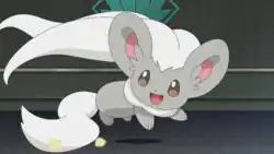 Cervantis's Cinccino
