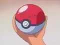 The Poké Ball containing Charmander in Pokémon - I Choose You!