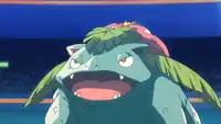 Corey's Venusaur