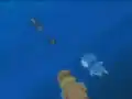 Buizel's missing spots