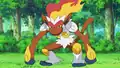 Infernape's miscolored shoulder pads