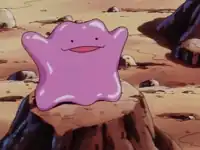 Drake's Ditto