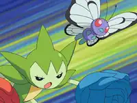 Drew's Butterfree