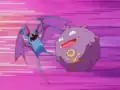 Zubat's miscolored wings