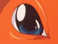 Charmander's eye shape