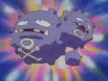 Weezing's teeth