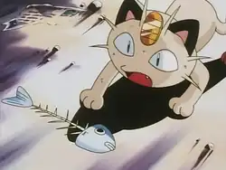 Go West Young Meowth