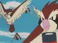 Pidgey are colored dark-brown