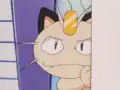 Meowth's charm error