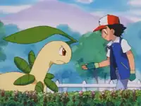 Turning Over A New Bayleef