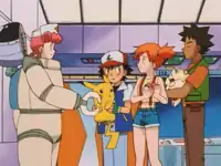 The Joy of Water Pokémon