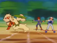 Ash and Gary in the Extreme Pokémon Race