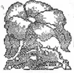 Venusaur from the 1990 Capsule Monsters sprite sheet[3]