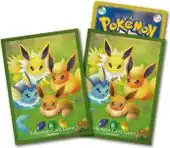 Eevee and Evolution Sleeves
