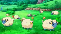 Travon's Mareep