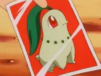 Professor Elm's Chikorita