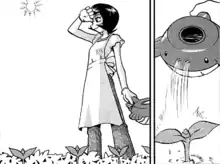 A Wailmer Pail in Pokémon Adventures