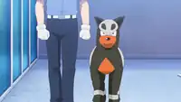 Exceed's Houndour
