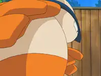 Pokémon Dojo's Hariyama