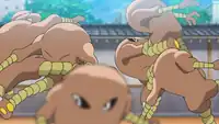 Fighting Dojo's Hitmonlee