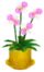 Flowering Plant
