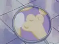 Footprint of Meowth in An EGG-sighting Adventure!