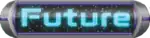 Future