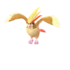 Pidgeot