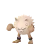 Primeape