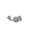 Geodude