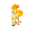 Rapidash