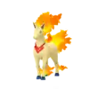Rapidash