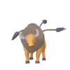 Tauros